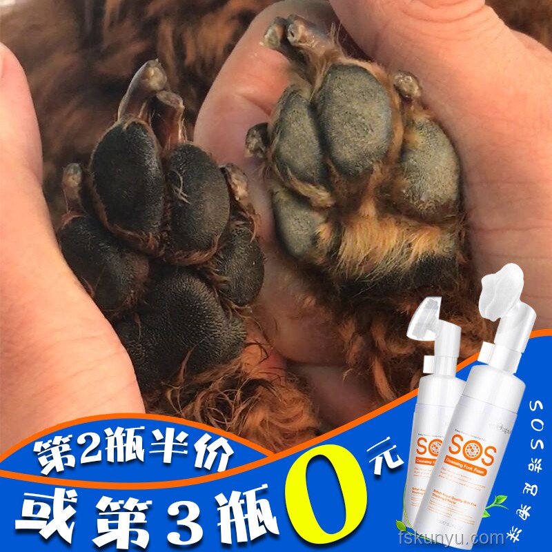 00后流行养“宠物酵母”现象解析
